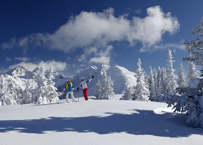 מלון Royer שלאדמינג